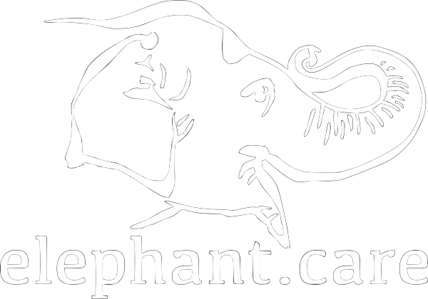 elephant.care - Logo