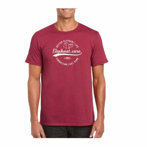 T-Shirt Herren "Used"