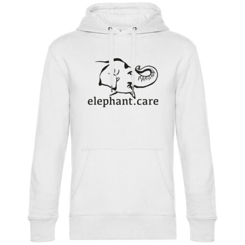 Hoodie "Classic"