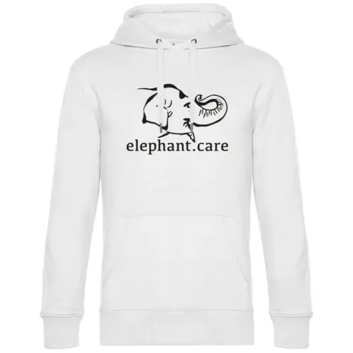 Hoodie "Classic"